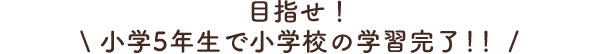 目指せ!小学5年生で小学校の学習完了!!