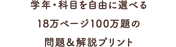 学年・科目を自由に選べる18万ページ100万題の問題＆解説プリント